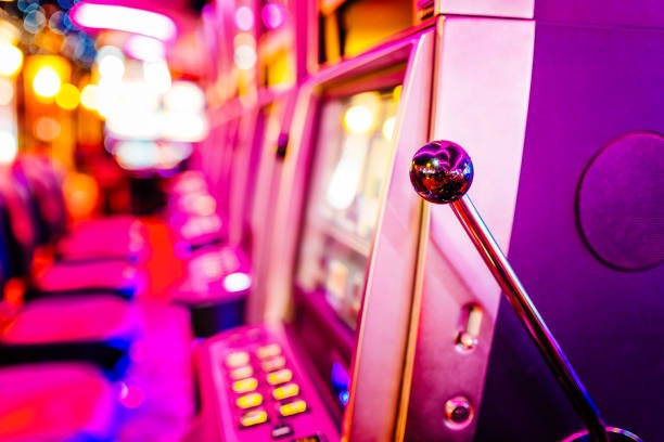 wombet দলের মধ্যে আনন্দ ও উত্তেজনা